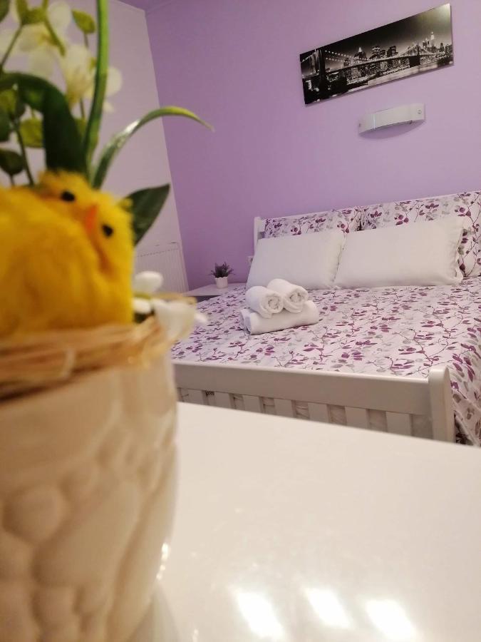 Guest House Macic Кореница Экстерьер фото